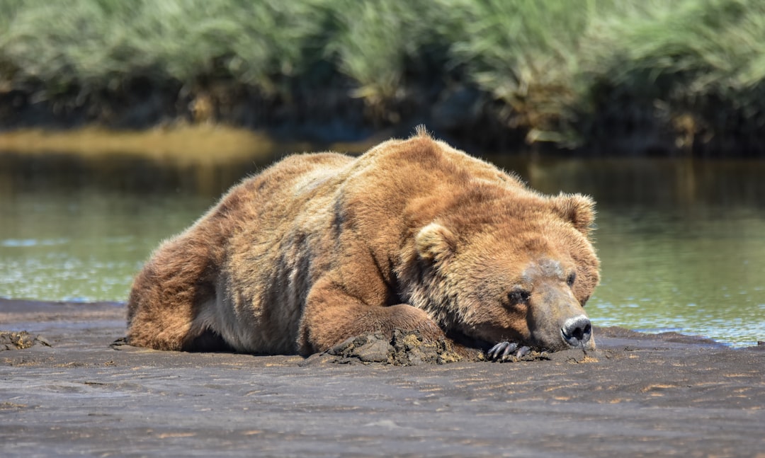 Tired Watching Your Stocks? Try This Safer Investment Path