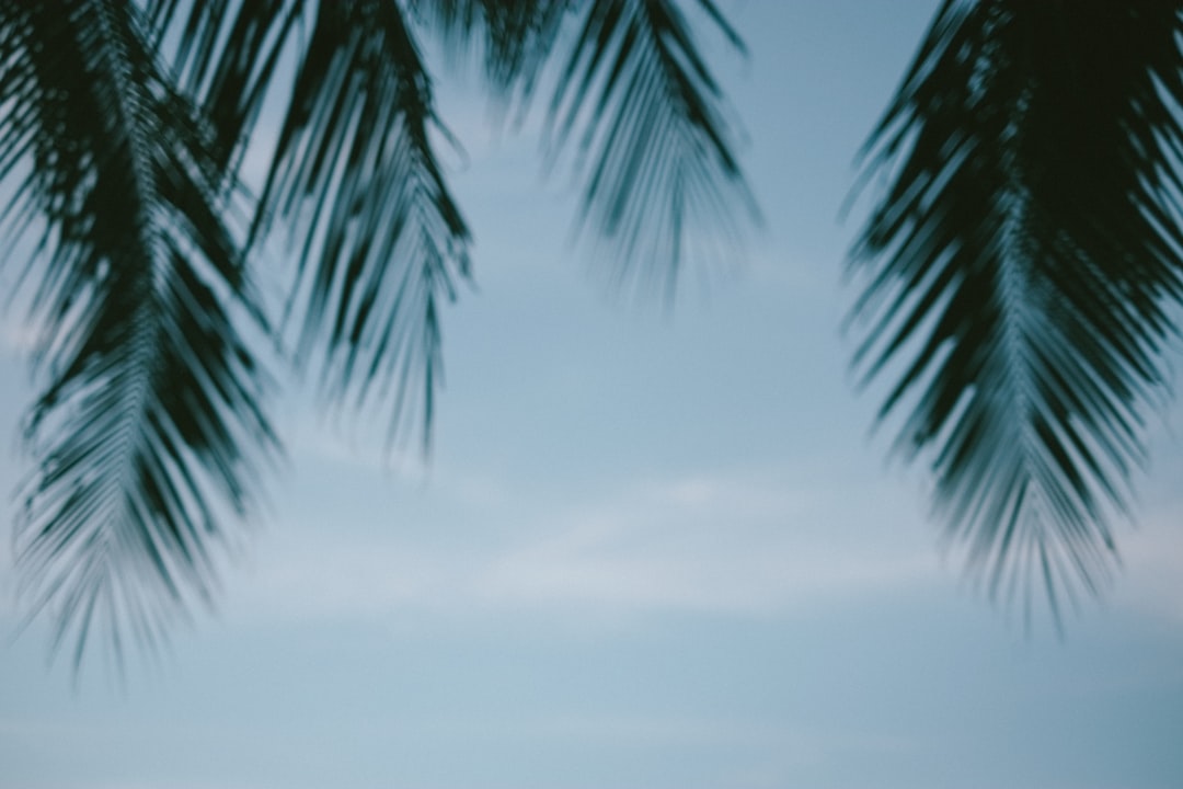 Trending Rental Markets Start 2026: Surprises Ahead