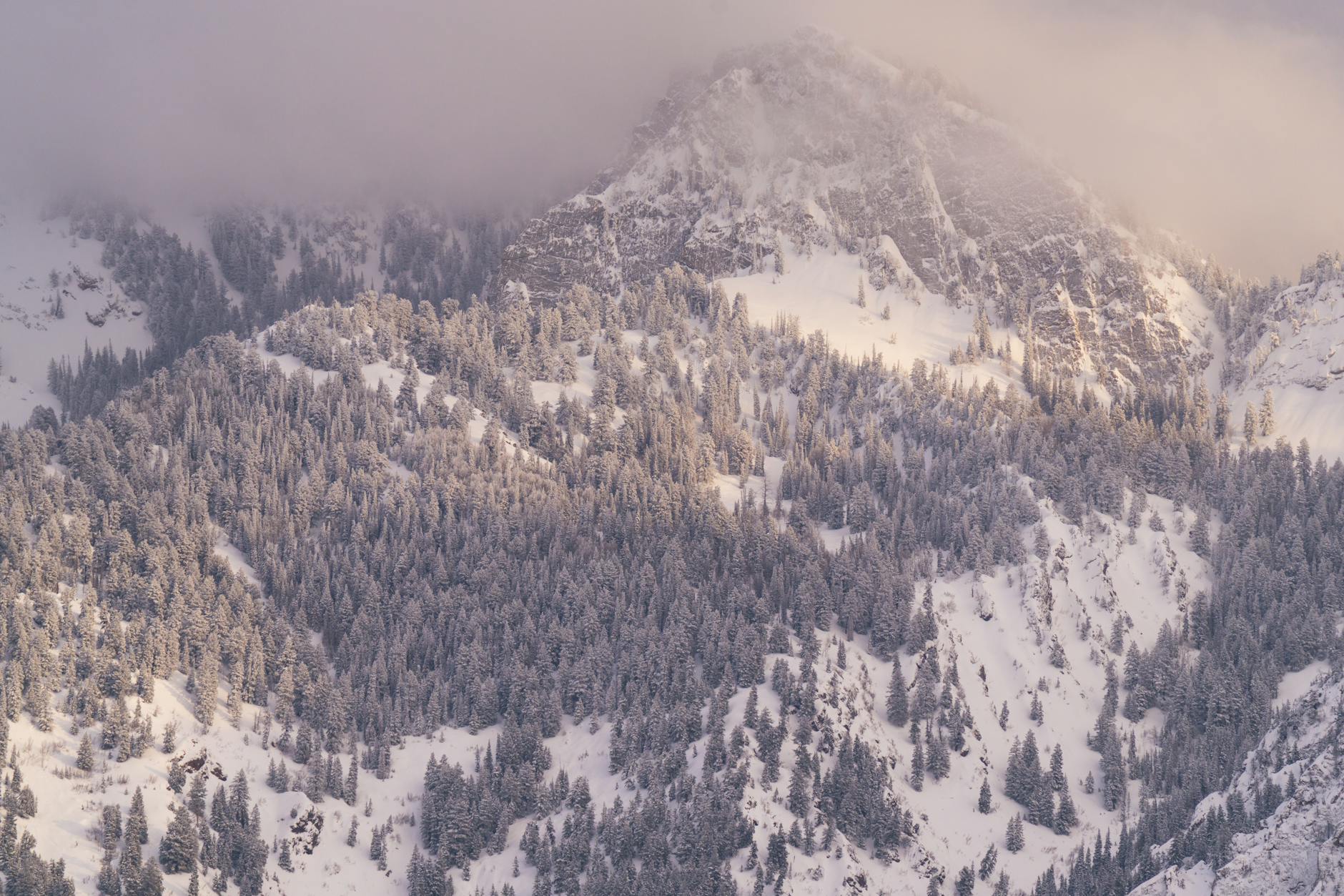 Trex Stock Down Wasatch: Big Selloff Analyzed Today