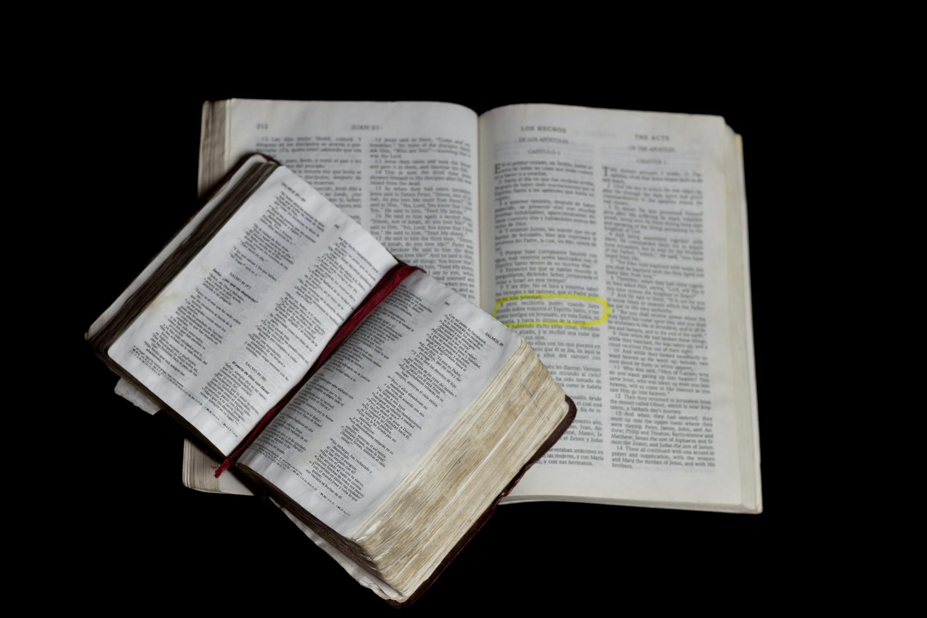 Trump “Understands Bible Better” Sparks Debate and Finance