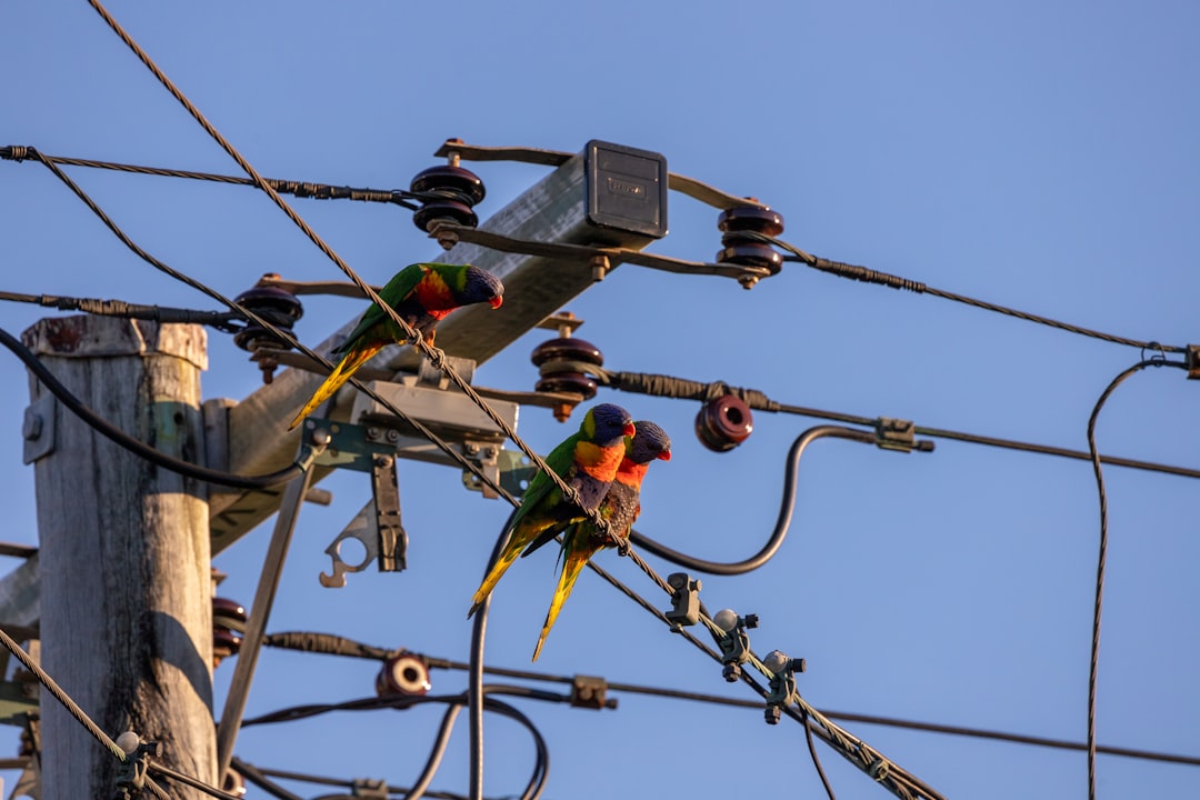 Union Electricians Risk Leaving Pension Money Behind
