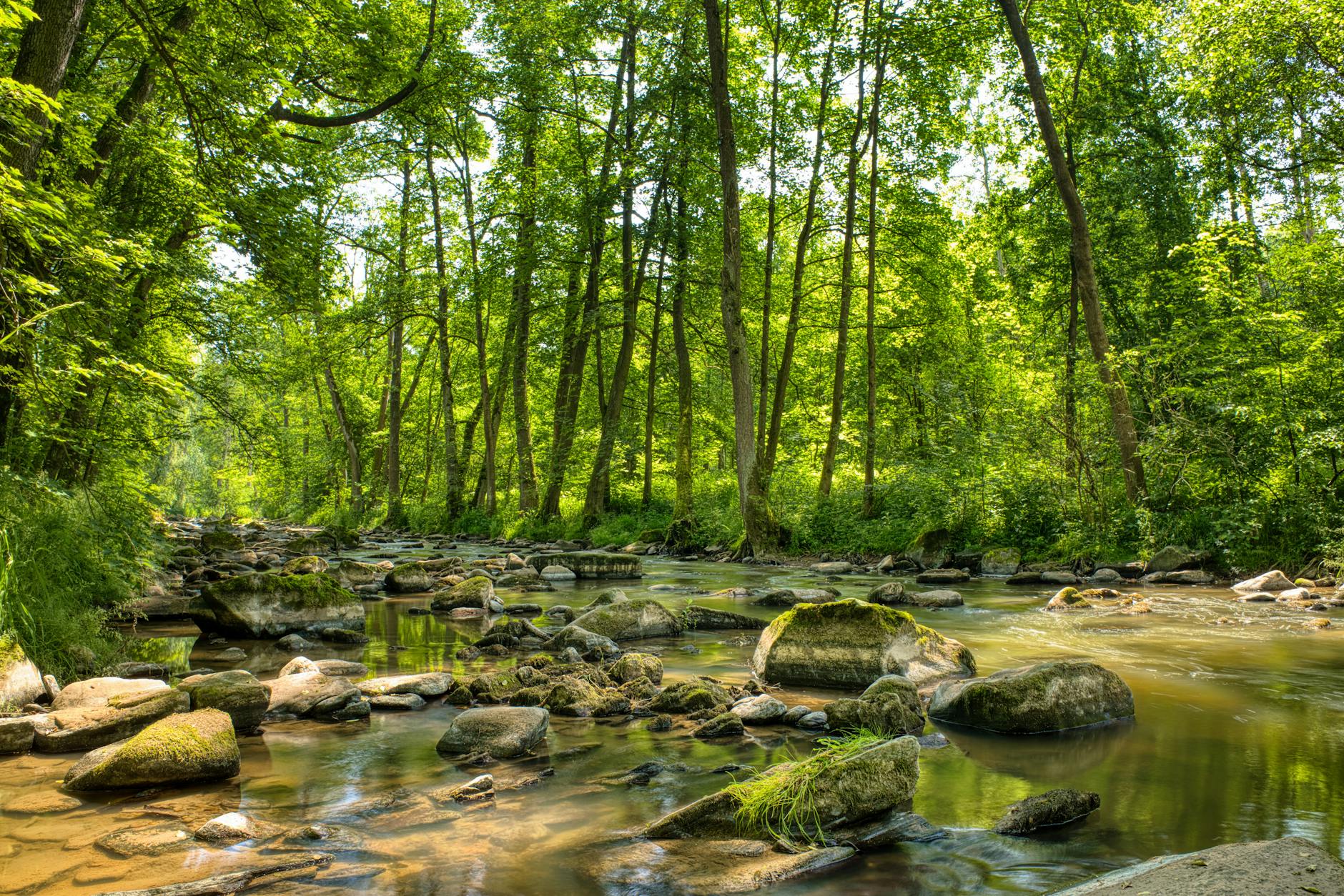 United Parks PRKS 2026 Q1 Earnings and Outlook Analysis