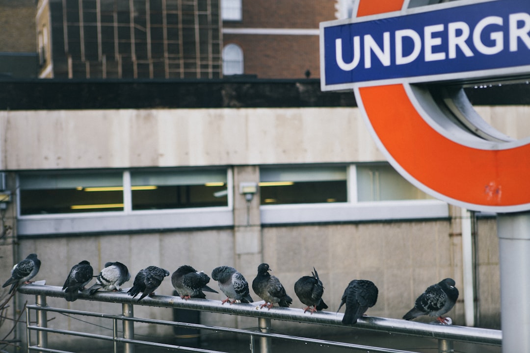 United’s Promised Diverse Hiring: What It Means for You