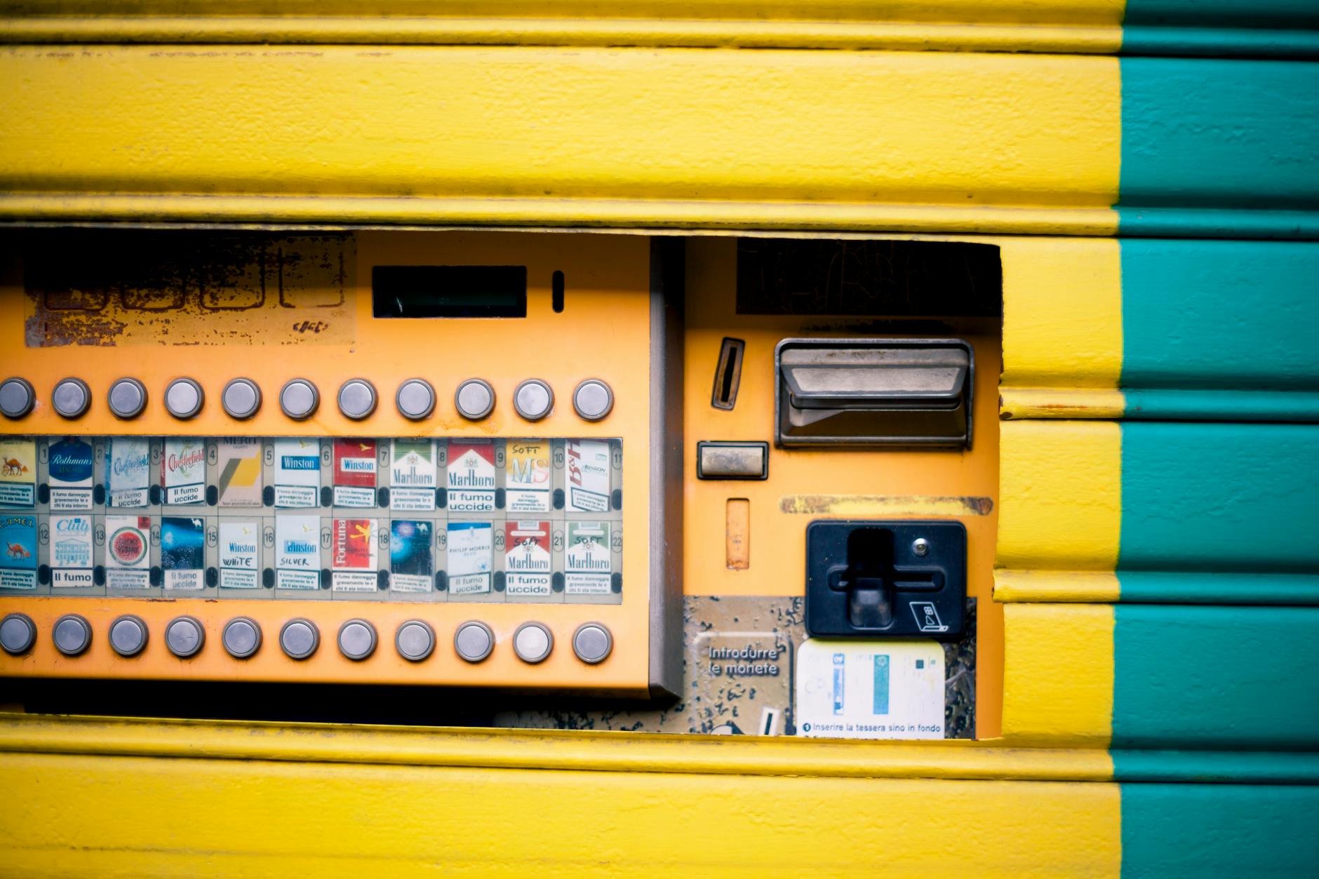 Unusual Machines Trounced the Market: Investing Trends