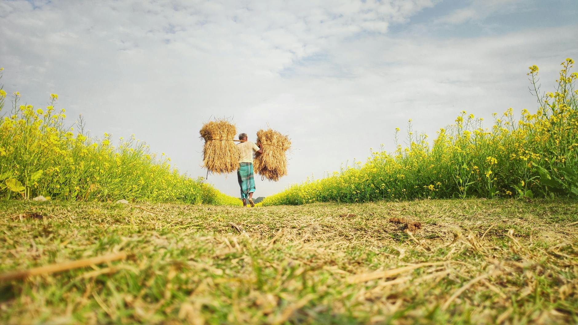 Vanguard Growth Became Consistent: A Market-Beater Story