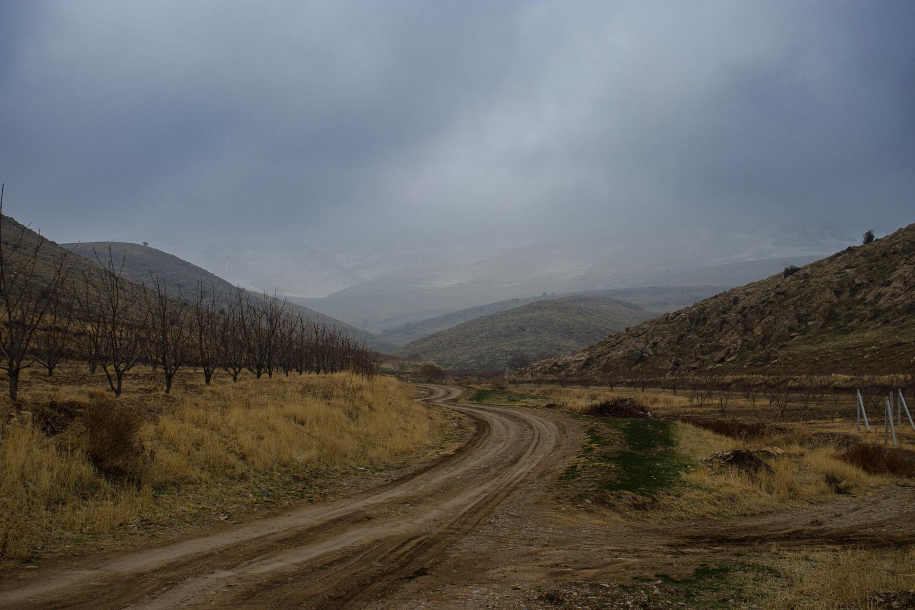 Veeva (VEEV) 2026 Earnings Outlook and Q4 Review