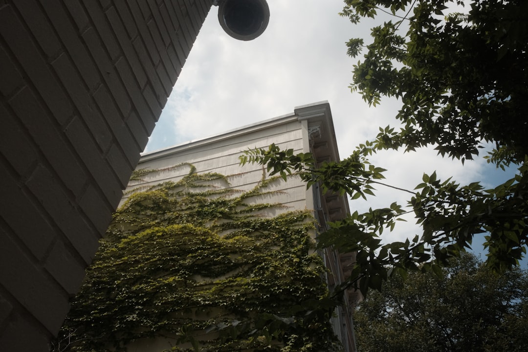 Wall Street Lifts Targets on Five Below, Ulta, NATR