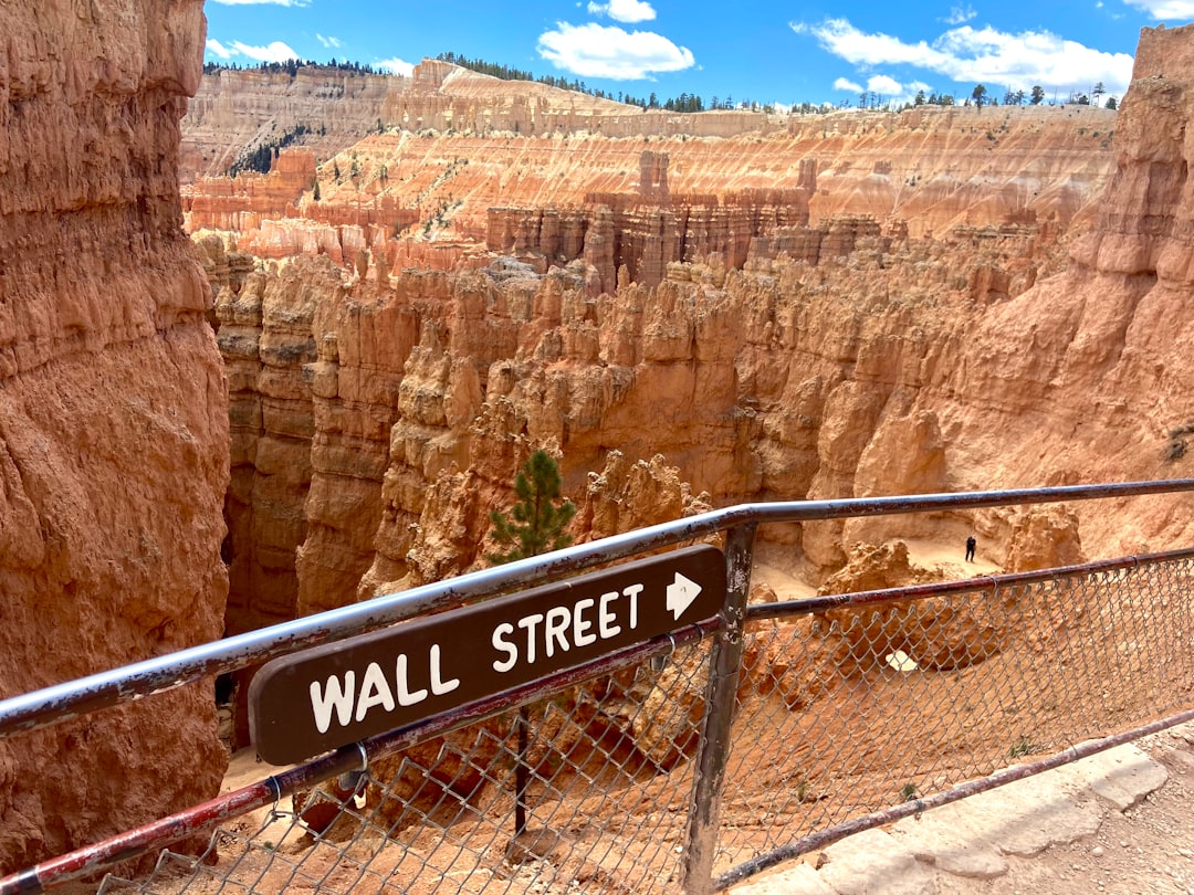 Wall Street’s Stock Getting Hammered: What Investors Miss