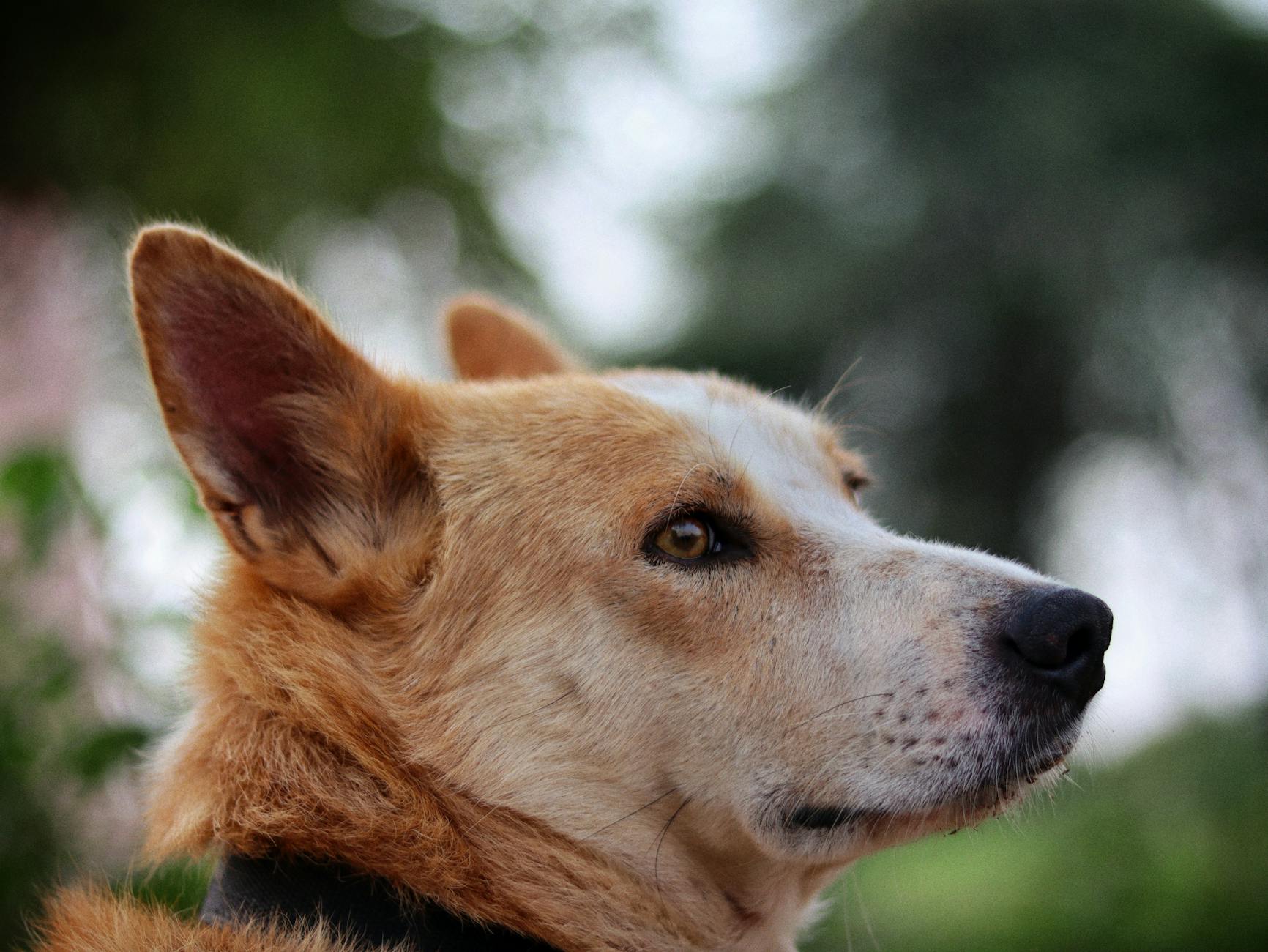 Watching SentinelOne Stock Heading Into March: Reasons