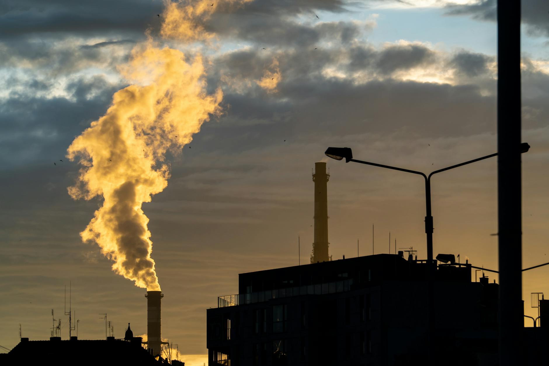 Well Carbon Taxes Match Their Promise? 2023 Evidence