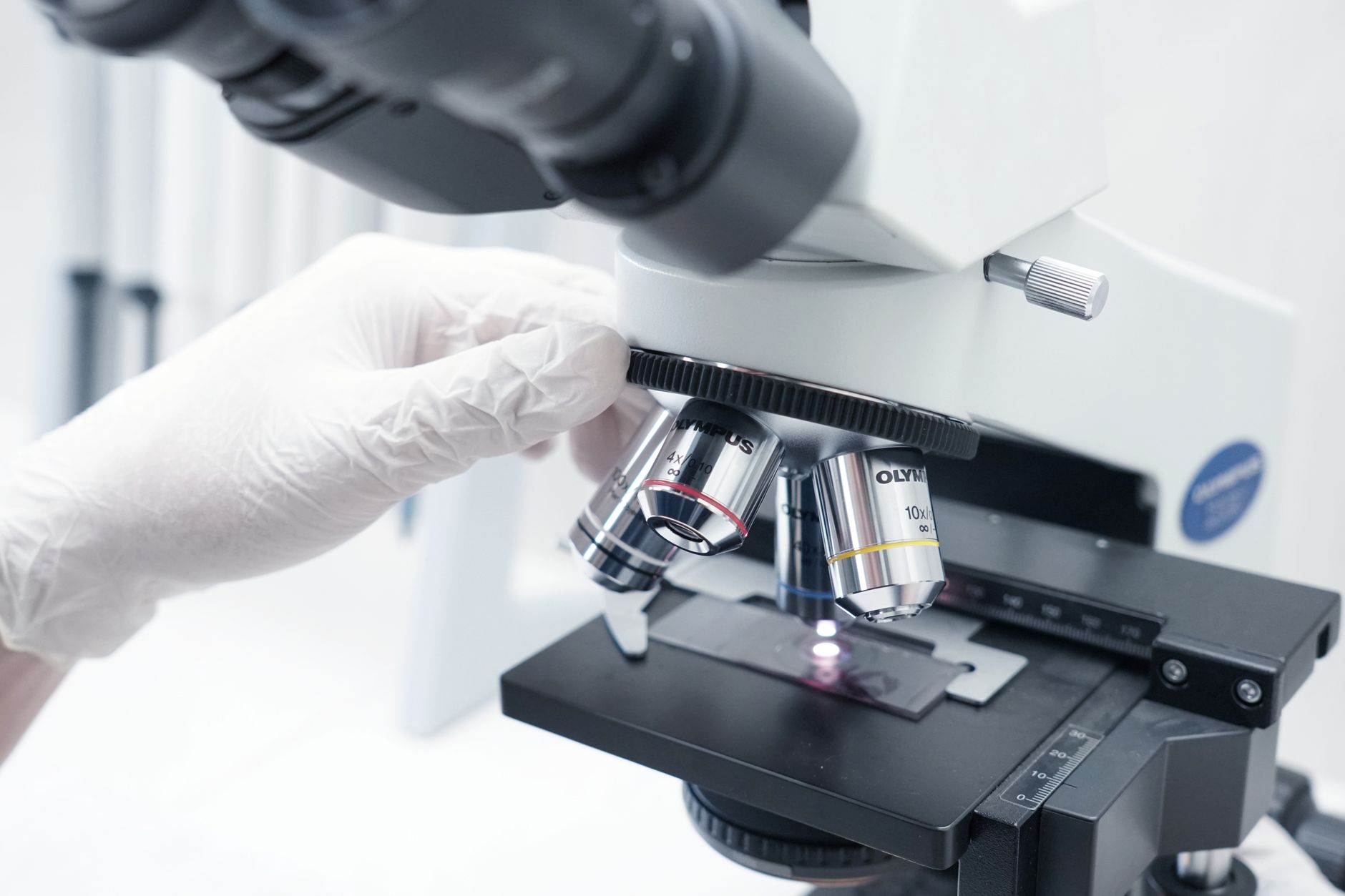 What Does Adaptive Biotech Insider Sale Signal for Investors