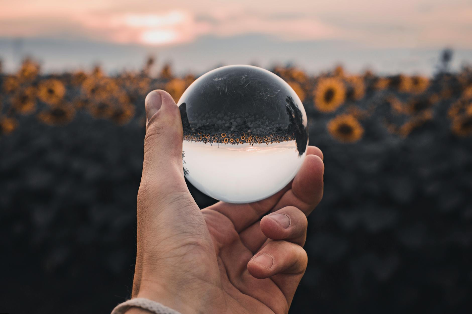 What’s Going with Palantir Stock: An Investor's Guide