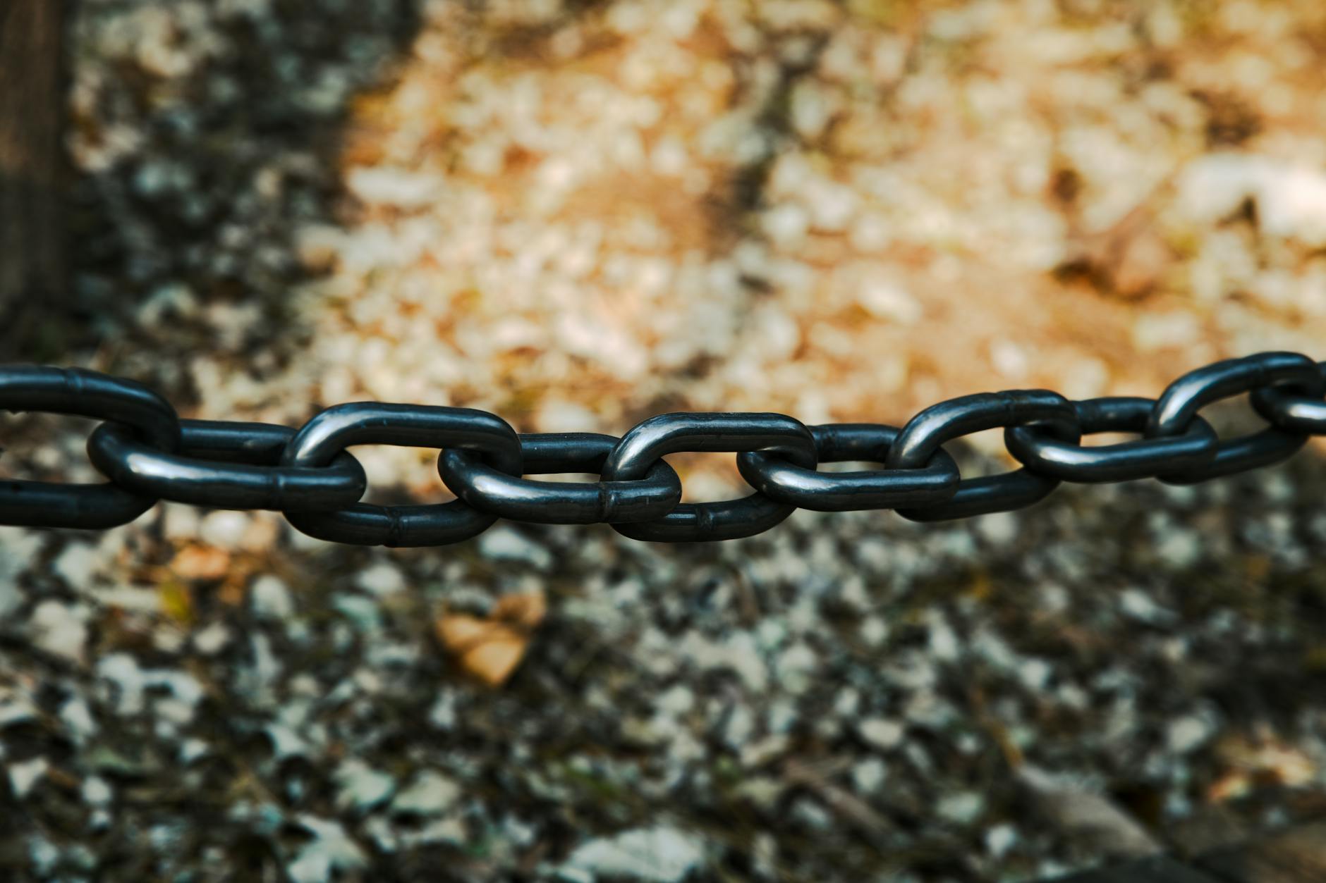 Where Will Chainlink (Link) Be When the Next Bull Run Hits