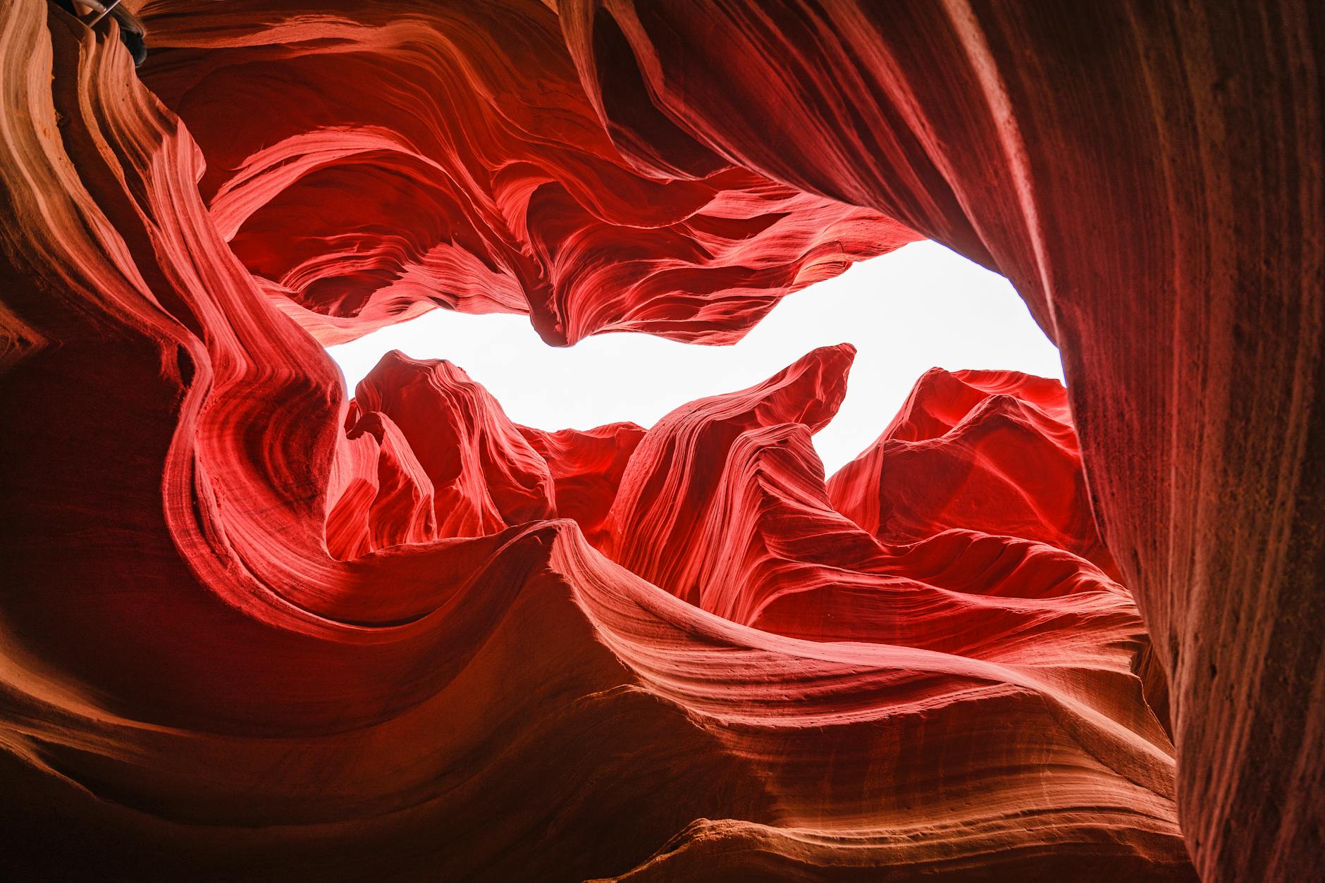 Where Will Rare Earth Stocks Go in 5 Years: USA Outlook