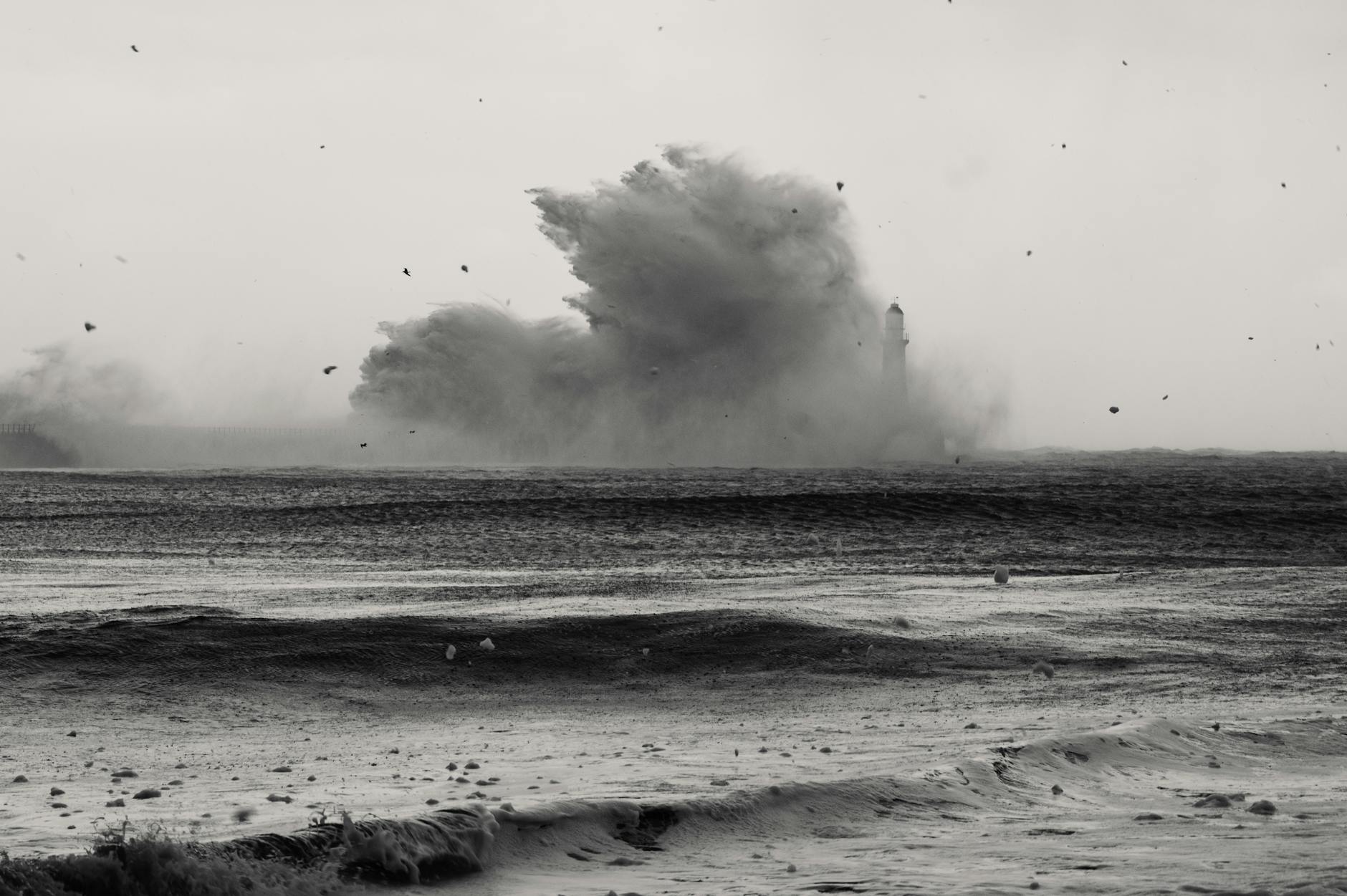 Why Bittensor Surged Nearly This Weekend: Keys to TAO Rally