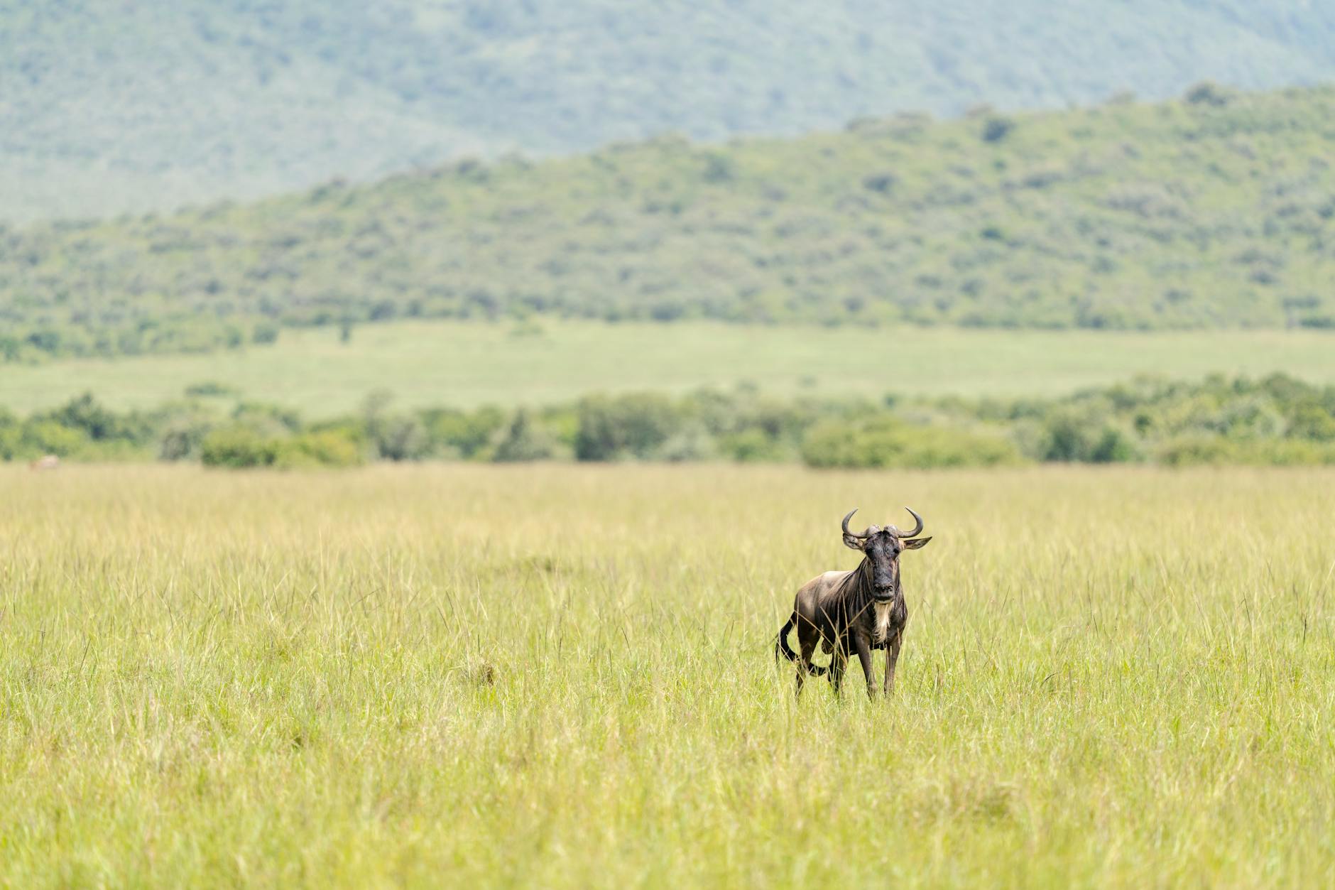 Why Mara Holdings Stock Slumped This Week: Key Drivers