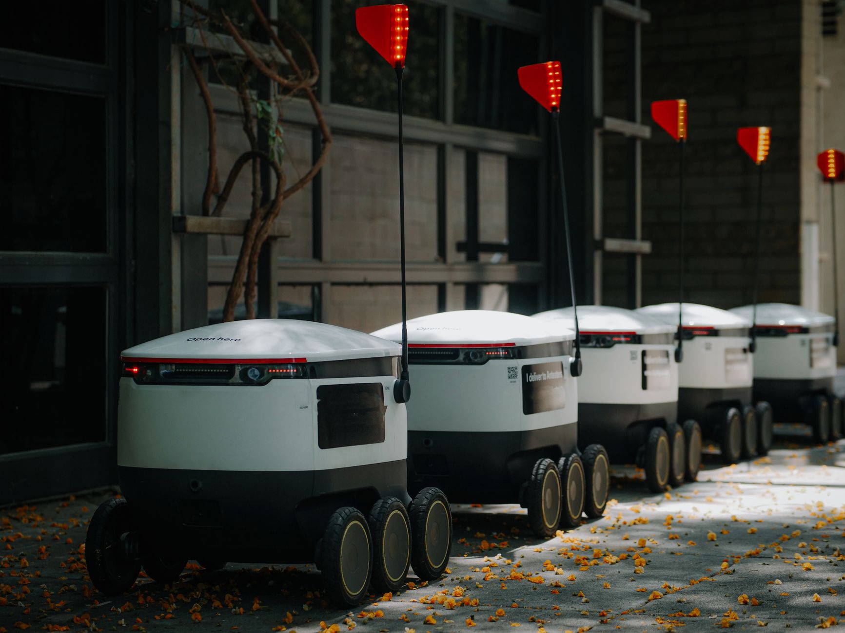 Why Richtech Robotics Stock Fell Off a Cliff in June