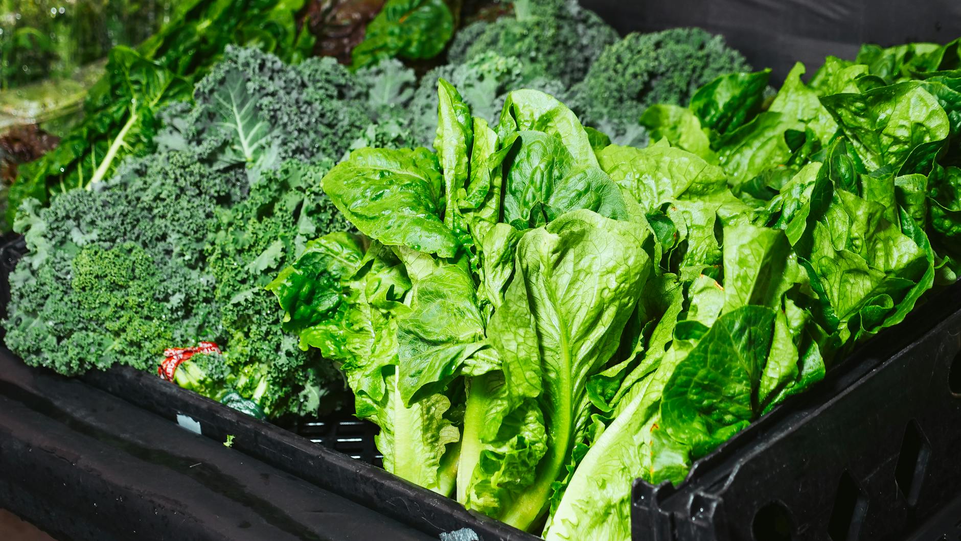 Why Shares Sweetgreen Stock Sank This Week: Key Causes