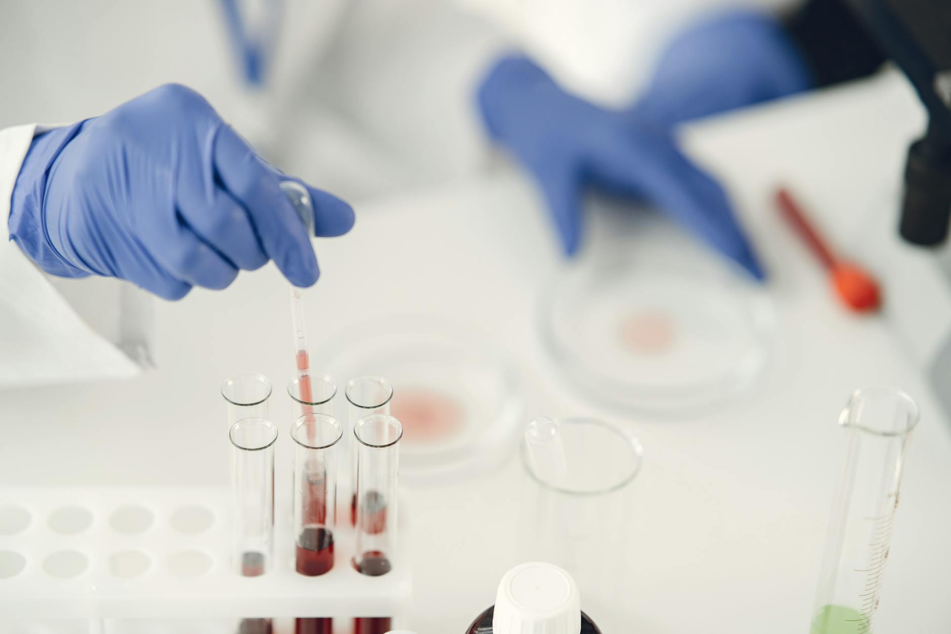 Why This Biotech Fund Increased Its Oruka Stake Amid a 500% Rally