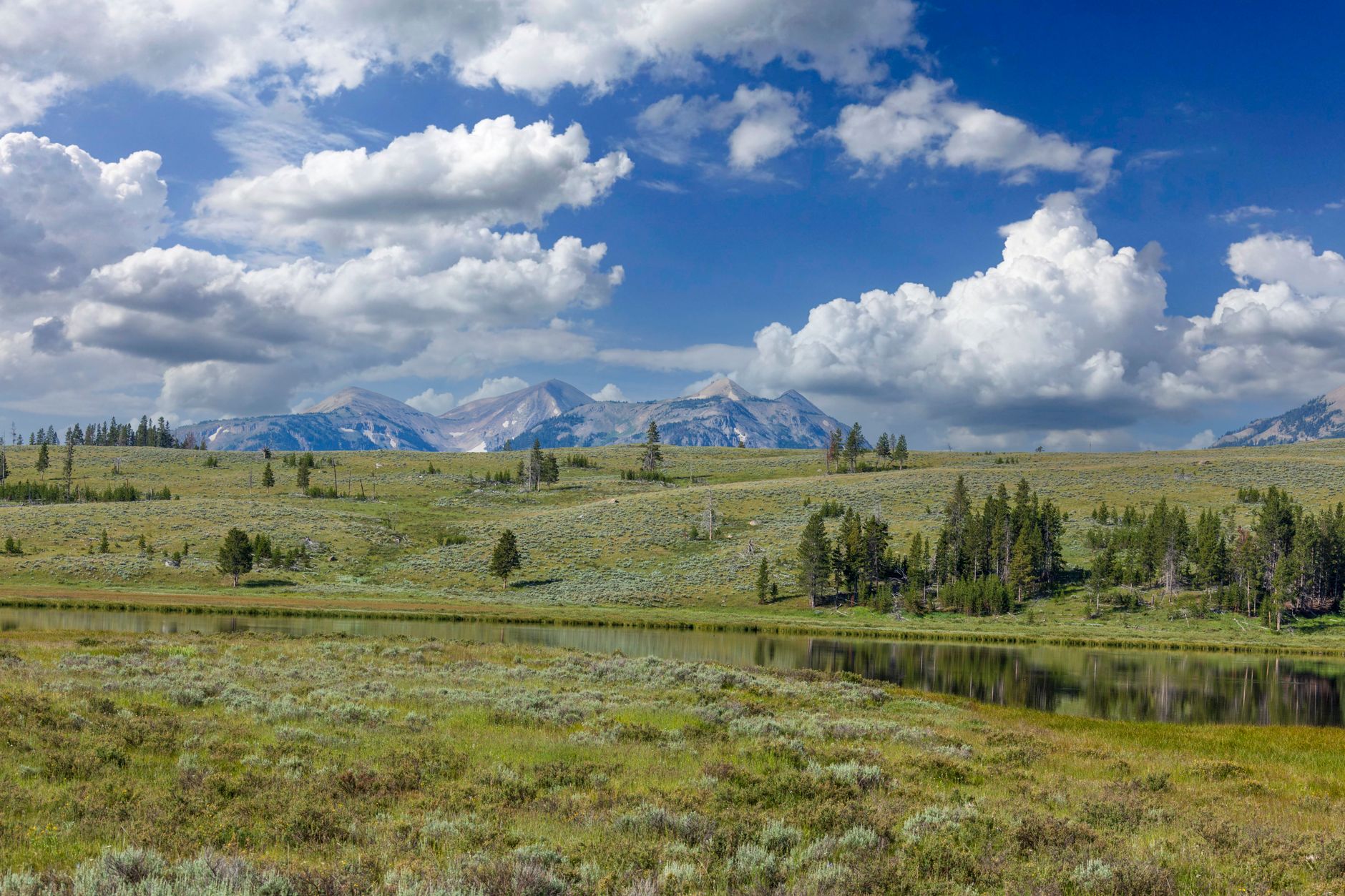 Wyoming Officials Trace Rare Bacteria From Meta Cosmo