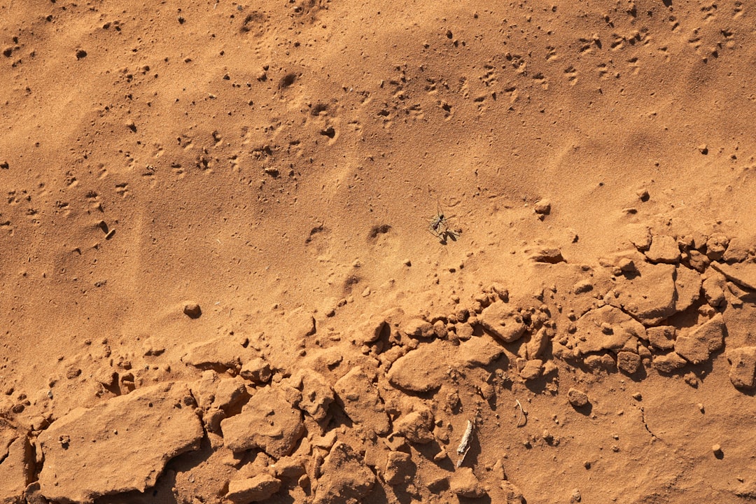 The first person mars going Narrative in Markets and Policy