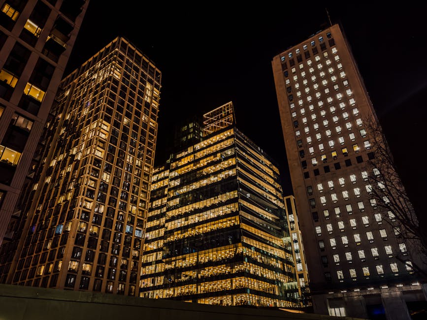 Sector Context and Investor Takeaway