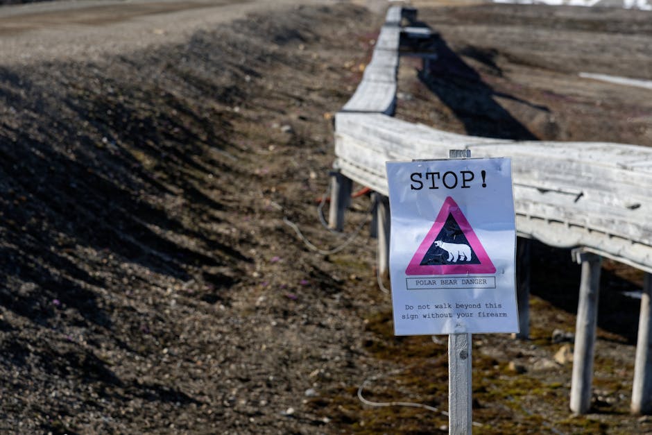 Peter Thiel’s Caution: A Bigger Threat to Math Than to Words