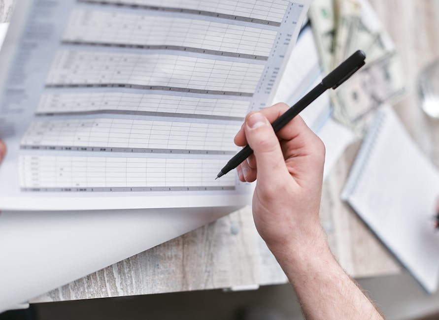 Valuation Realities: How to Assess a Stablecoin Provider