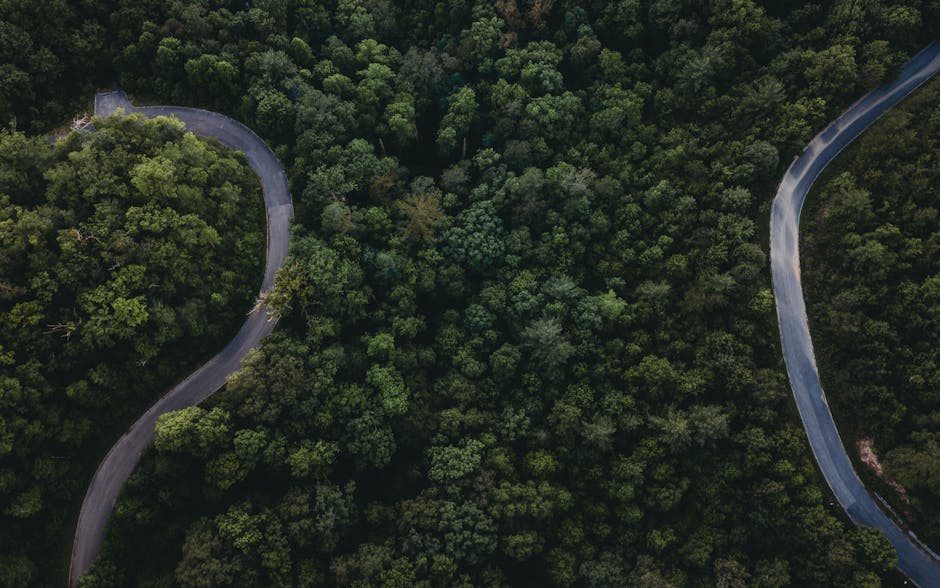 Two Paths in a Turbulent Sector
