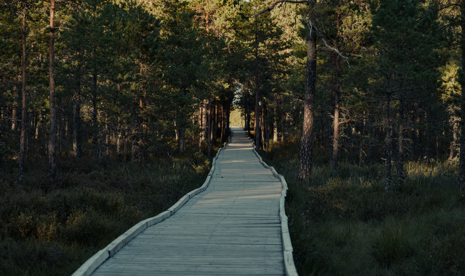 Outlook And Strategic Path