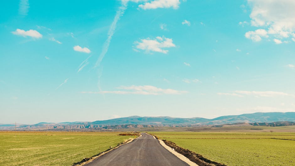 The Road Ahead: Timeline and Potential Outcomes
