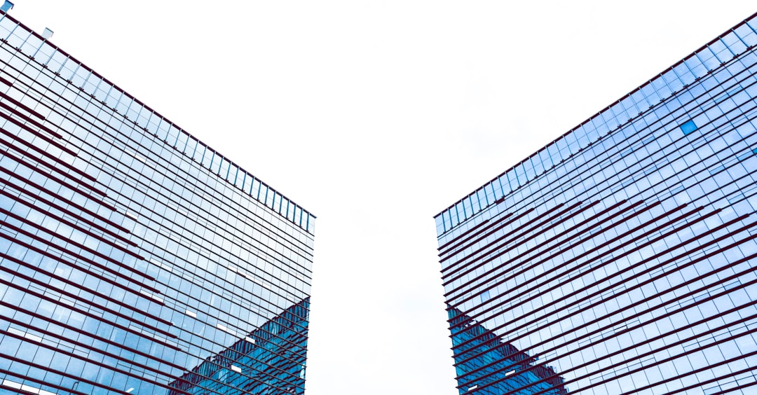 Analysts See Both Resilience and Risks