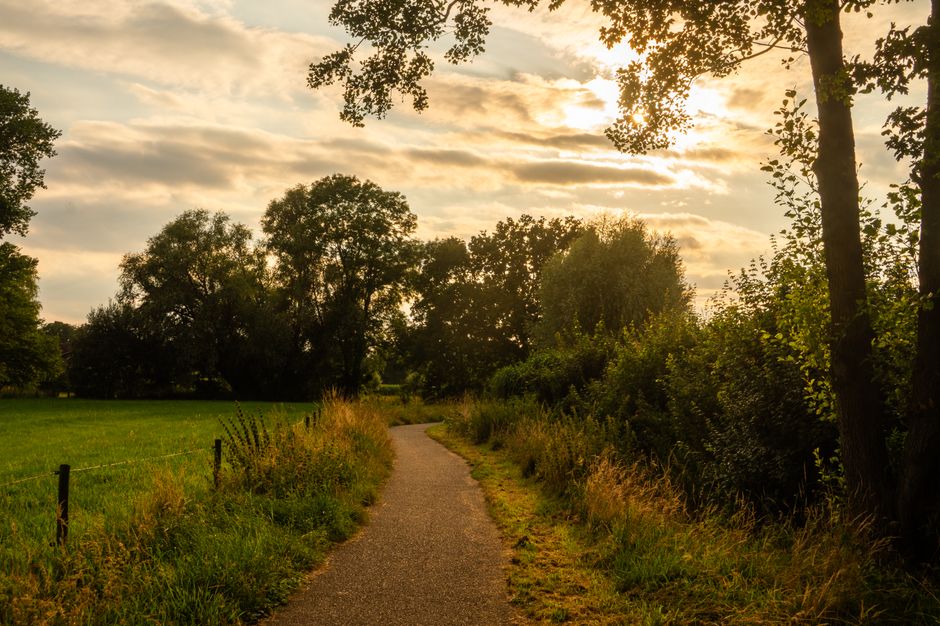 The Path Forward: What Comes Next