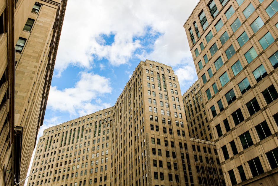 Long-Term Perspective: Why Fundamentals Still Matter