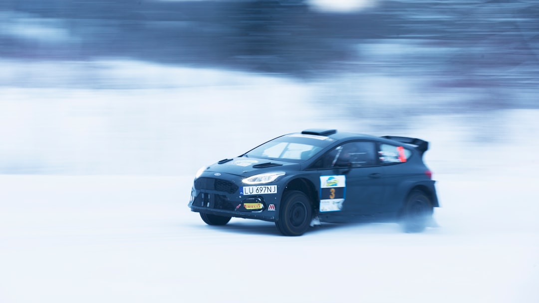 What Is Driving the Rally?
