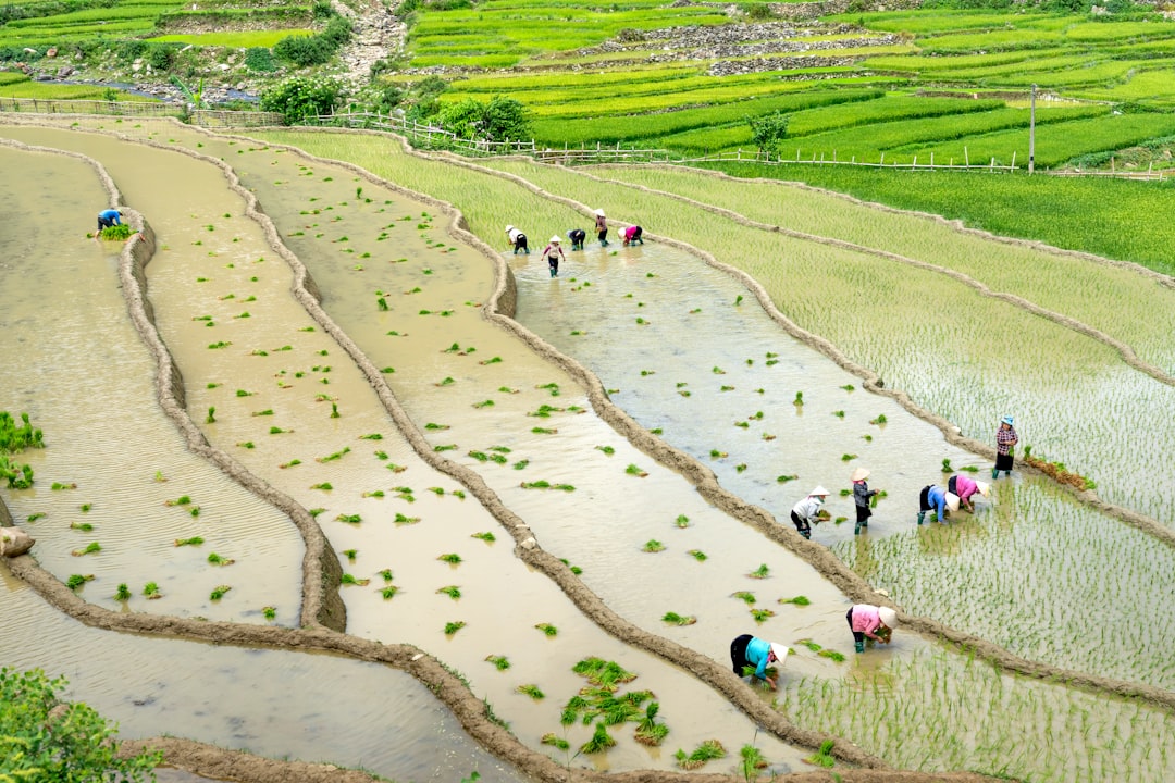 Why This Matters for Climate and Agriculture