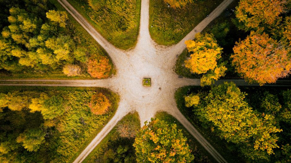 Strategic Fit: When to Favor Each Path in 2026