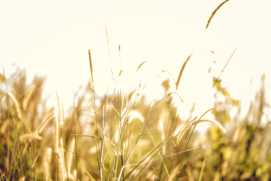 Debt Discipline: Funding the Land-Mocused Path