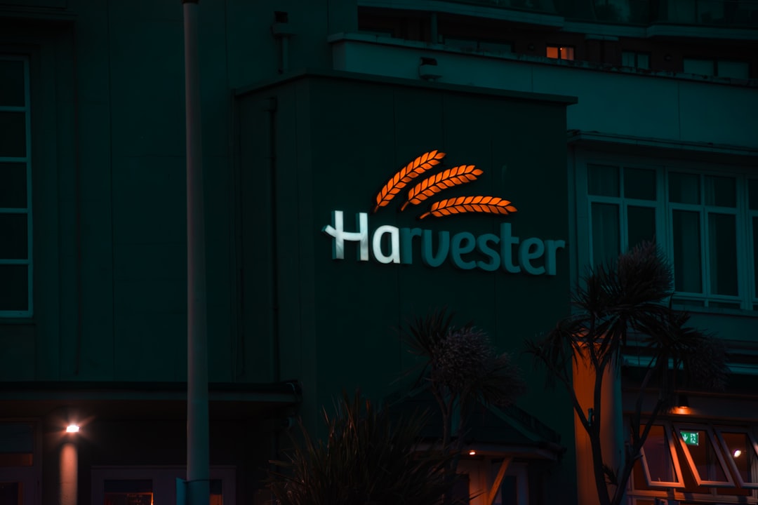 H2: What Investors Should Watch In The Near Term