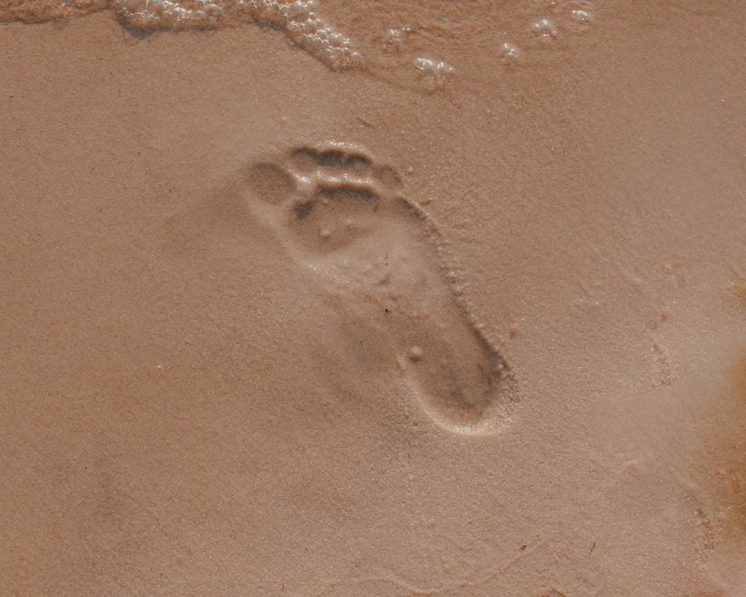 The Financial Footprint: What It Means for Personal Finance