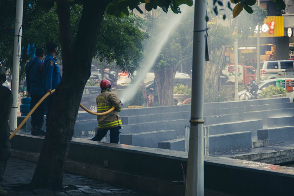 Public Health Response Under Fire