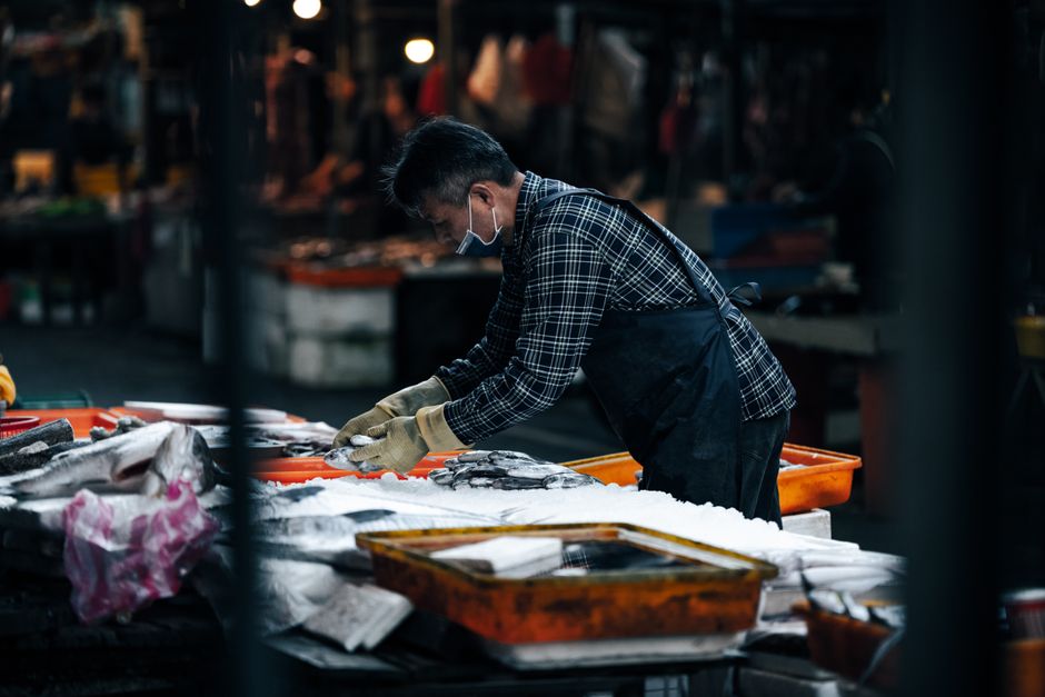 National Trends: Older Workers Returning to the Labor Market