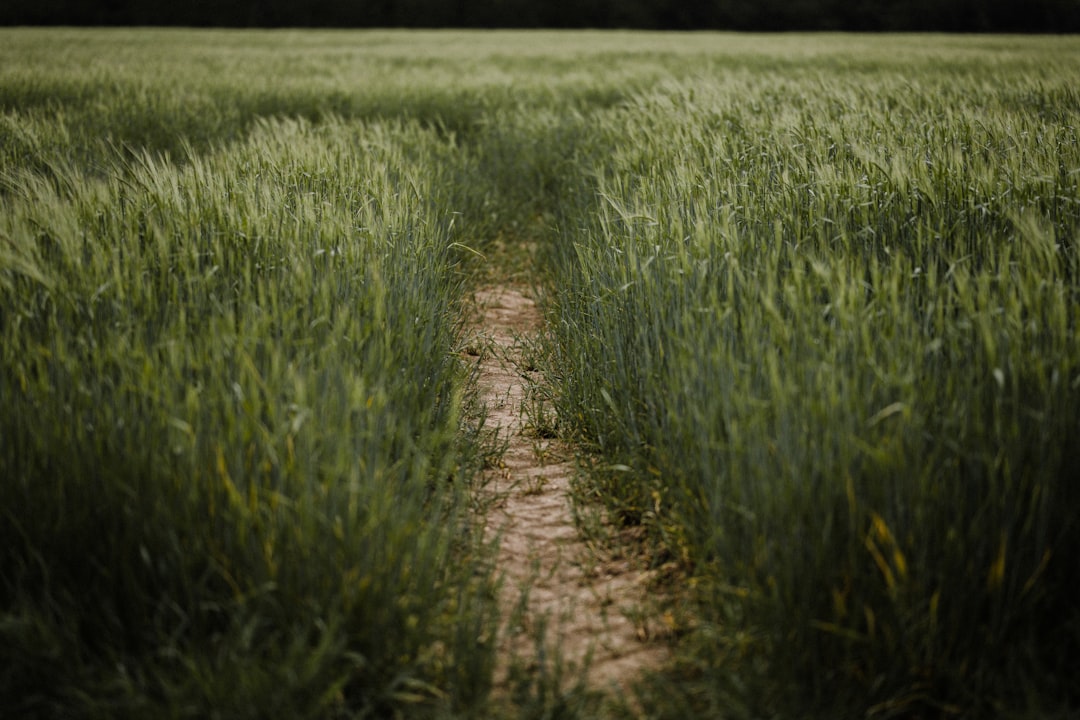 Bottom Line: A Deliberate Path Through a Choppy Market