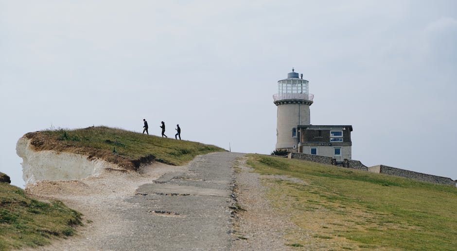The Path Forward: Guidance, Scenarios, And What To Expect