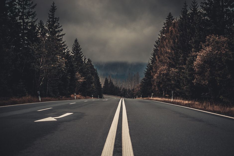 Investor Reactions and the Road Ahead