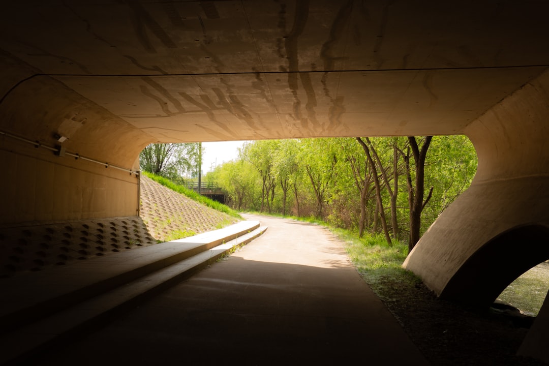 Pathways Moderna Could Follow, If the Stars Align