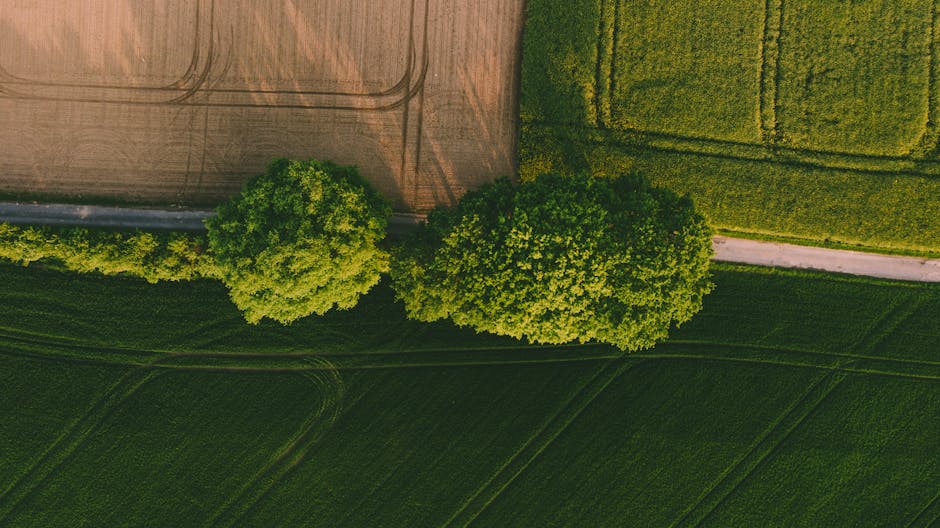 Voices From the Field