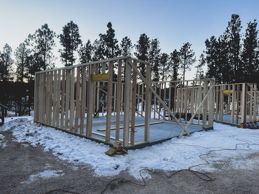 Which Is the Better Buy? Framing homes champion homes: which as a decision rule