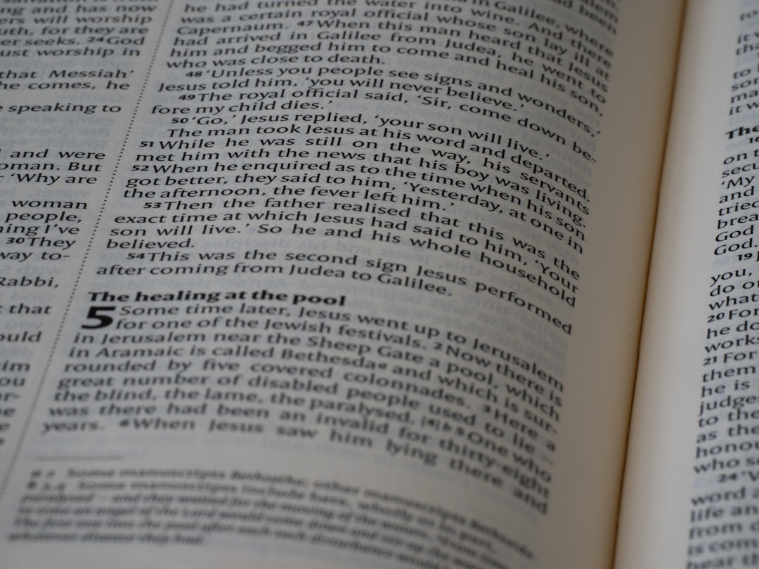 Reading the Prospectus: What Should Investors Look For
