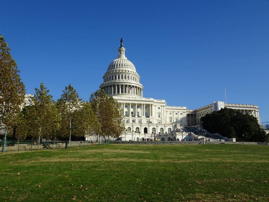 Next Steps in Congress